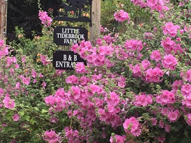 Little Tidebrook Farm Bed & Breakfast Wadhurst Dış mekan fotoğraf